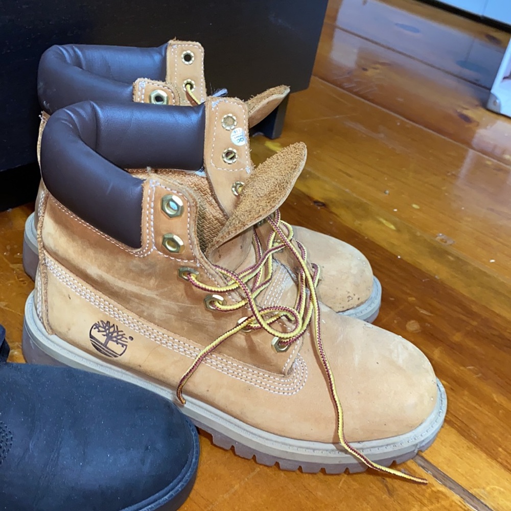 Timberlands - Picture 4 of 4